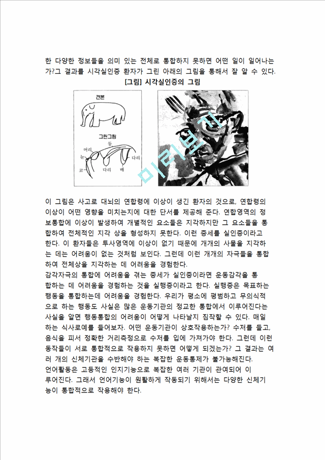 [대뇌피질] 대뇌피질의 구조와 기능(투사영역, 연합영역).hwp